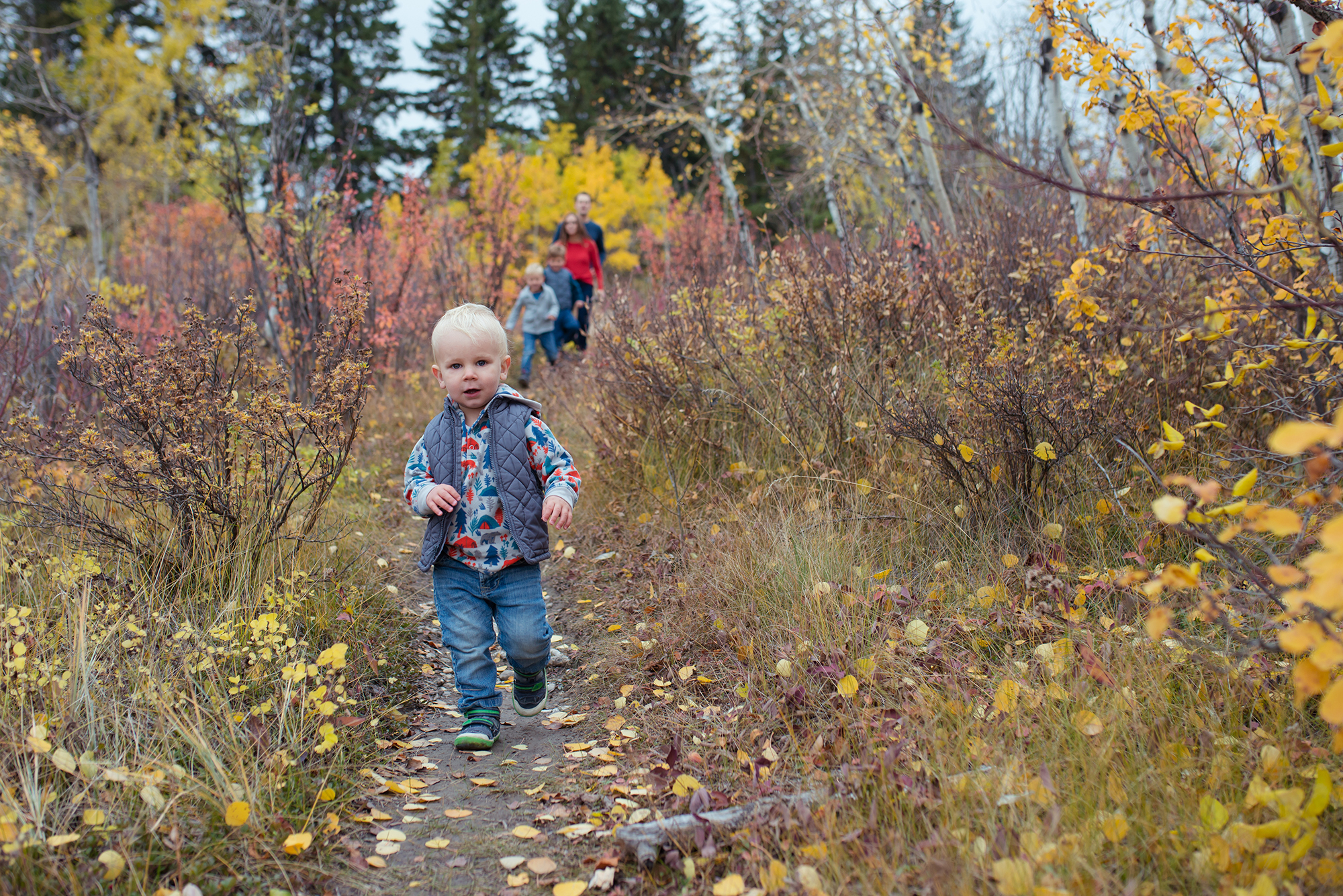 Fall Family session, Calgary family photographer, Claudia T Photography, Claudia T photographer, Fall Mini, Fall Minis, park family photos, fall family photos, kids photographer, family photo session, fall photo session